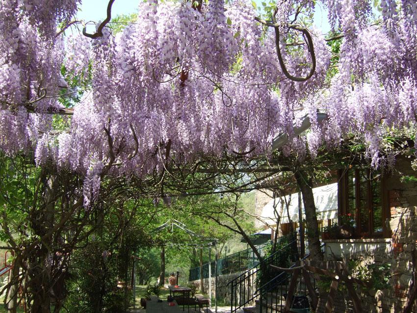 Hotel Agriturismo Oasi Verde Mengara Gubbio Exterior foto